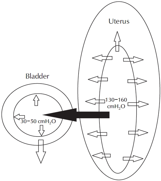 uti-2550024012f2.jpg