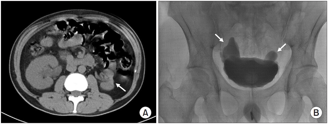Fig. 1.